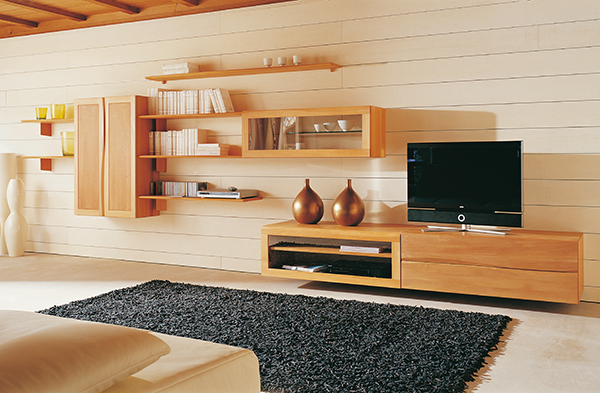 Seltz Liberty Entertainment Wall System